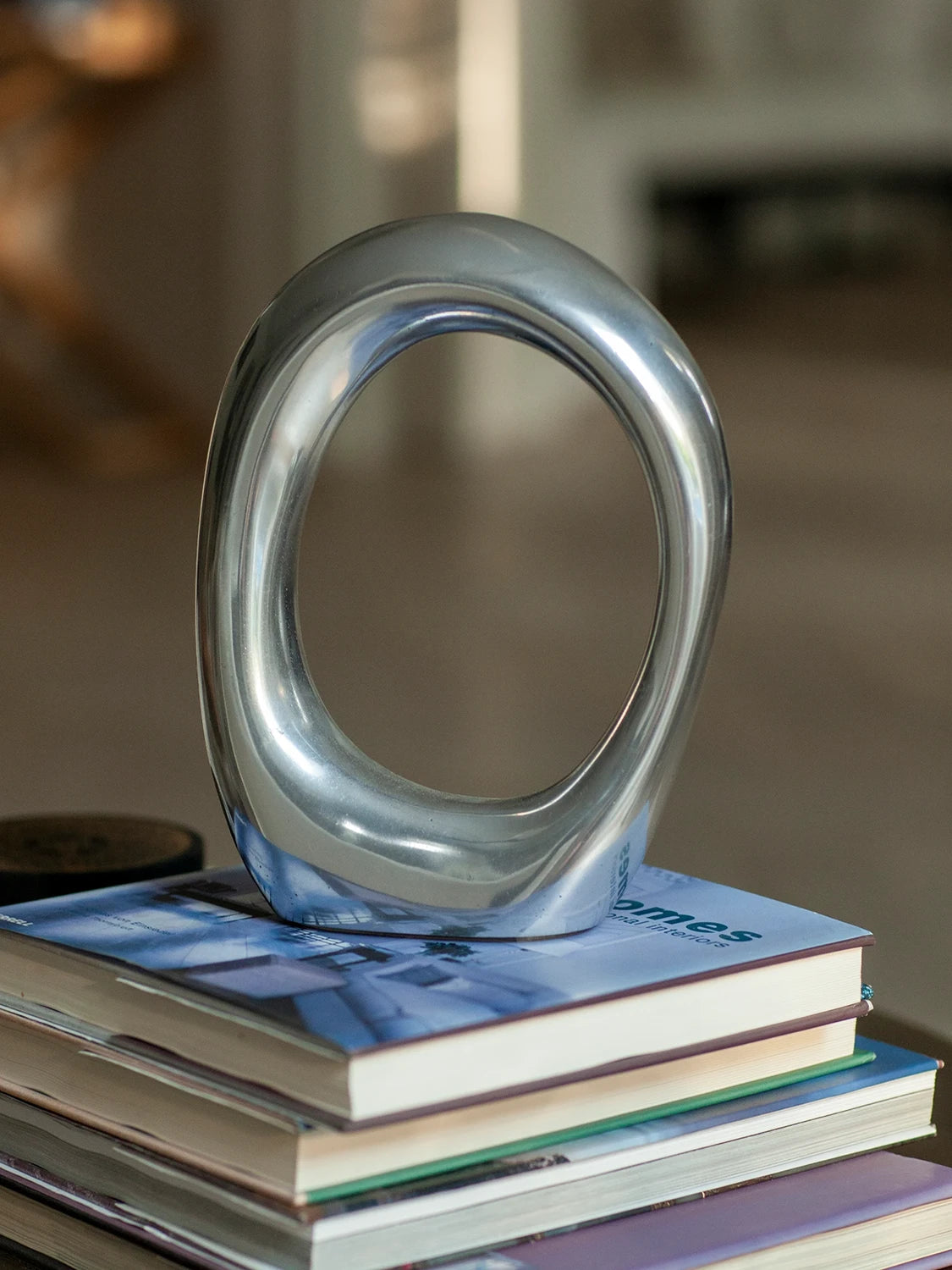 Sculpture - Polished Aluminium