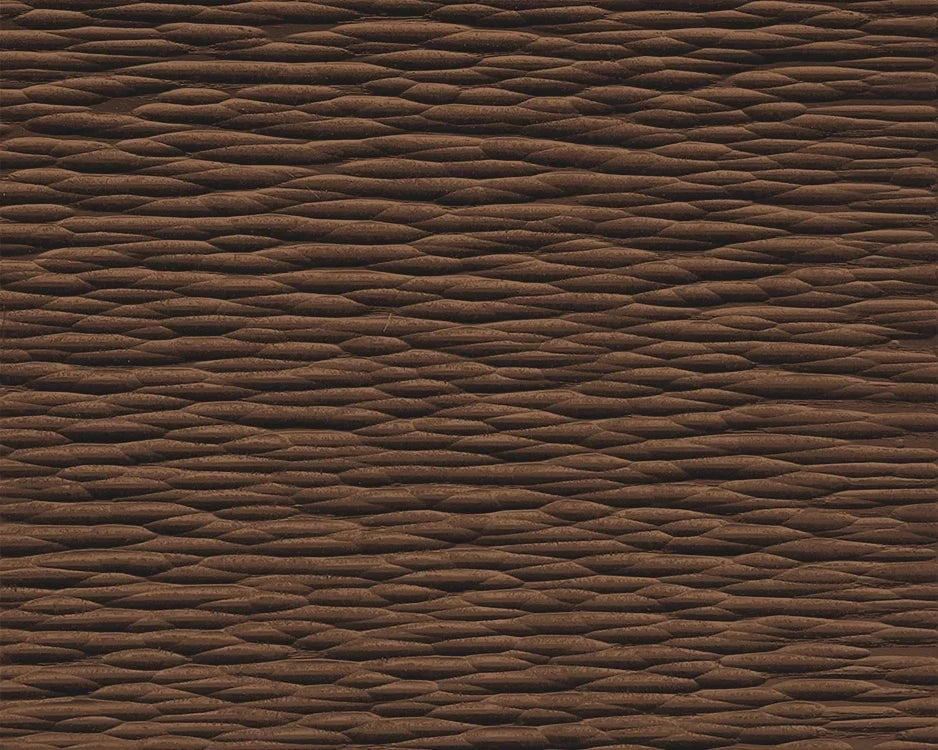 Surface Image